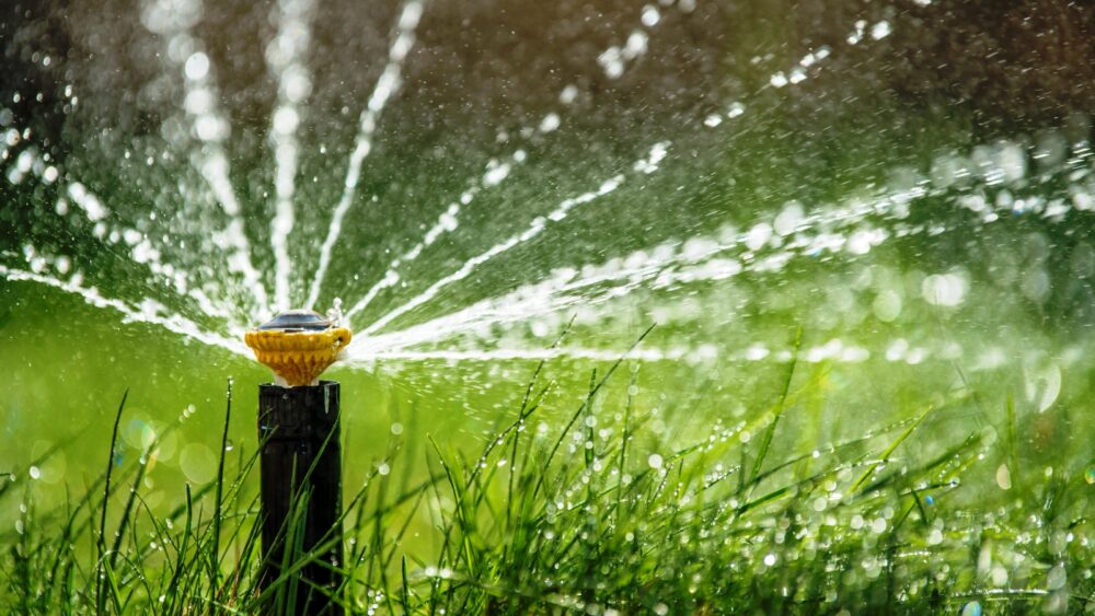 Sprinkler in action watering grass